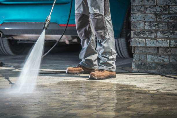Best Warehouse Cleaning  in Roosevelt, NJ