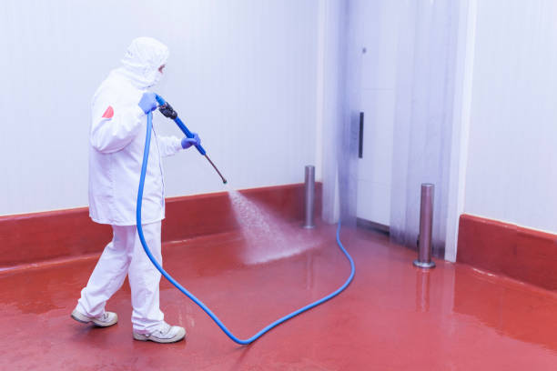 Best Soft Washing  in Roosevelt, NJ