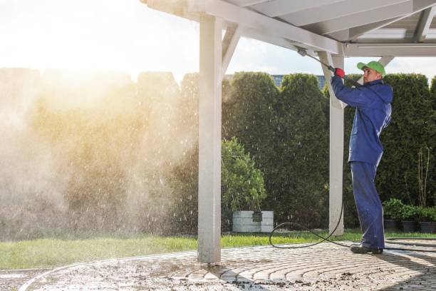 Best Rust Removal  in Roosevelt, NJ