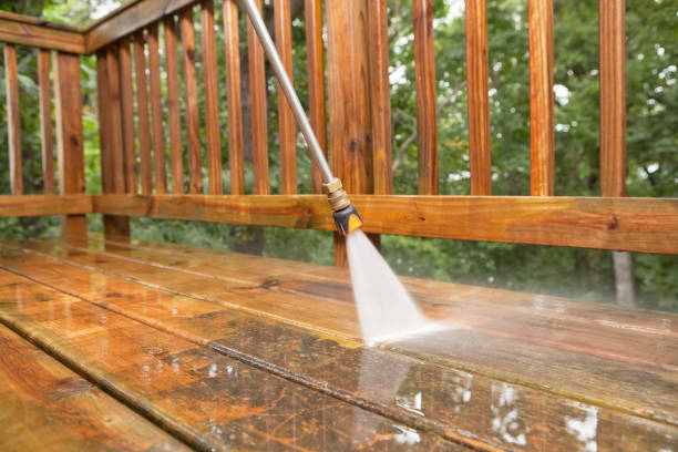 Best Gutter Cleaning  in Roosevelt, NJ